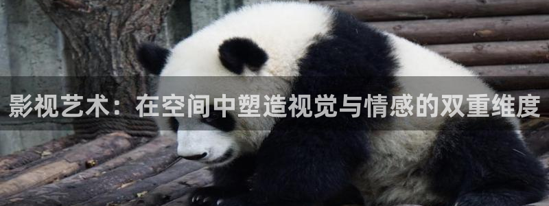 策驰影院樱花动漫