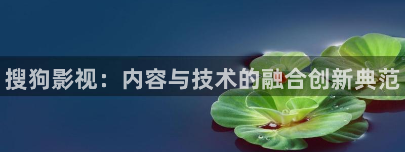 樱花影院电视剧高清在线观看